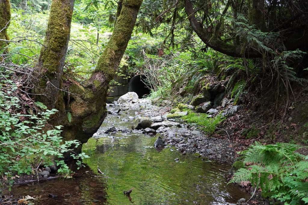 Watershed Governance Framework - Complete!