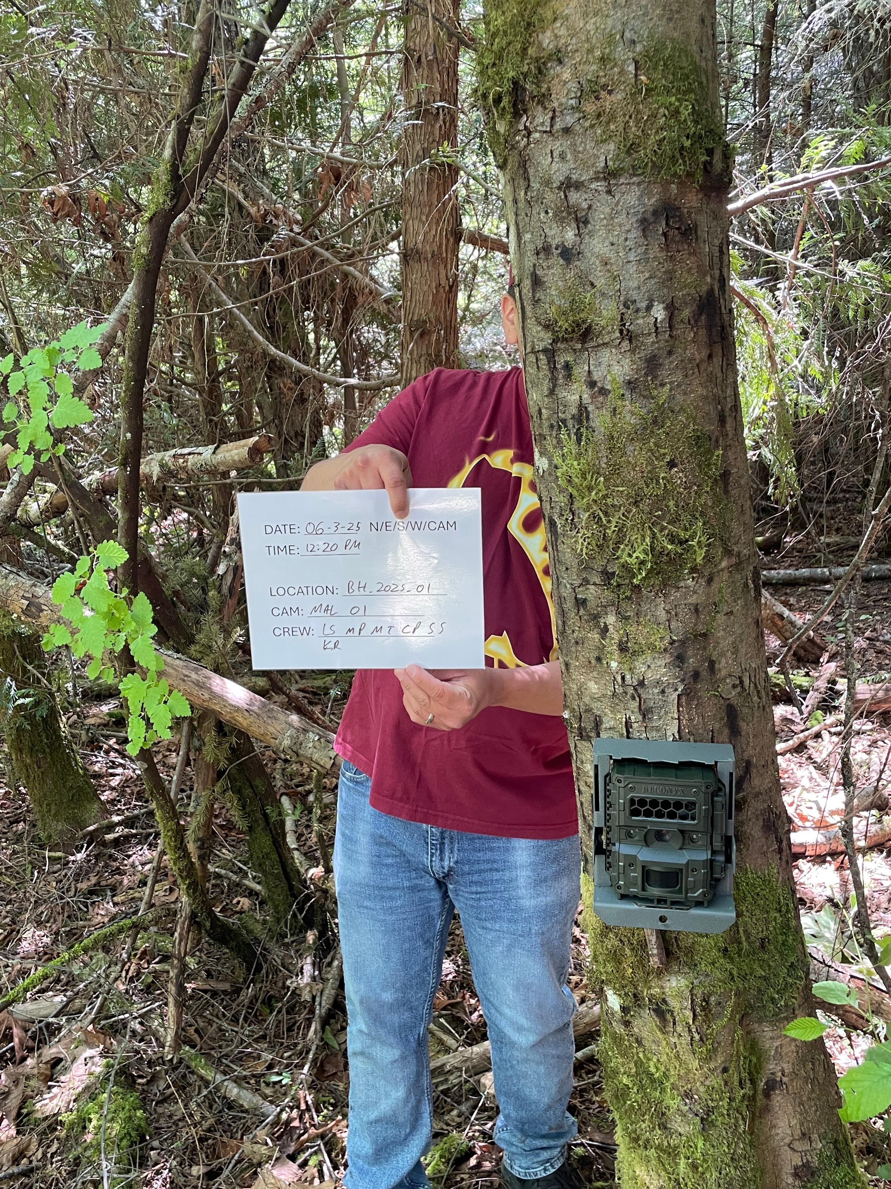 Malahat Nation Wildlife Camera Study