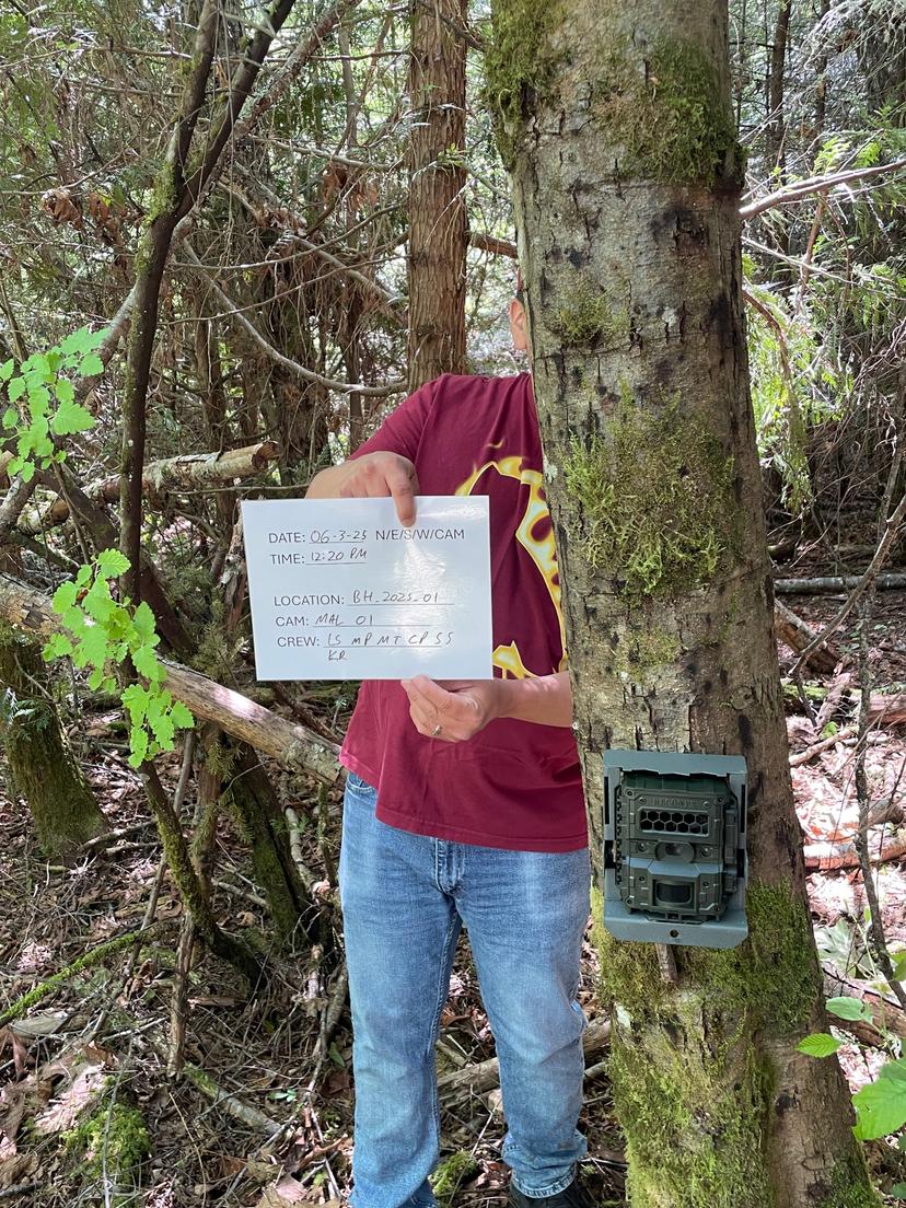 Malahat Nation Wildlife Camera Study