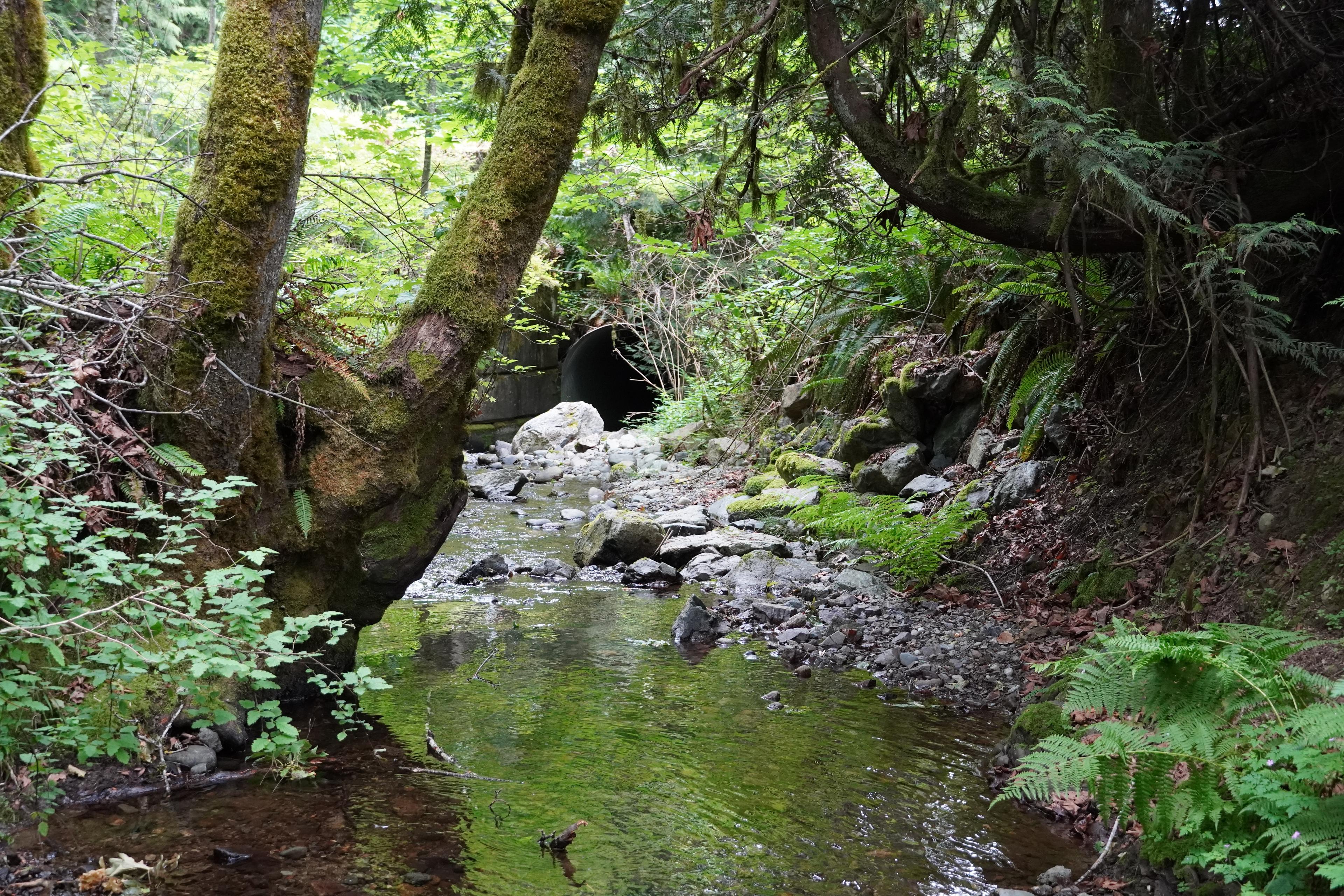 Watershed Governance Framework
