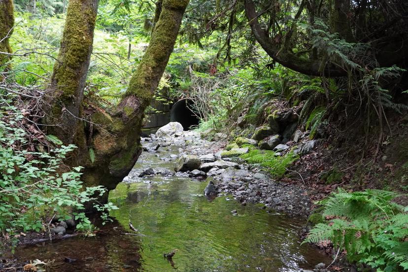 Watershed Governance Framework