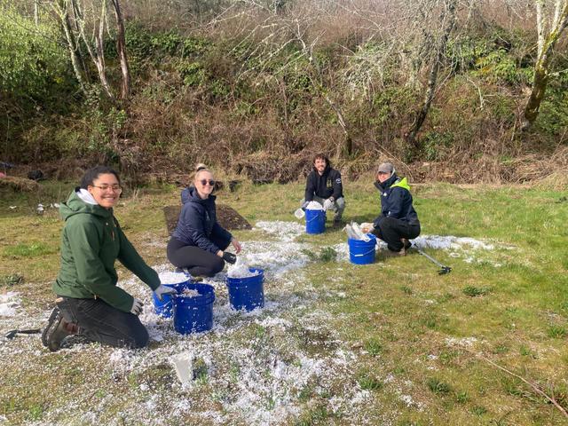 Beach Cleanup - Foam Pellets