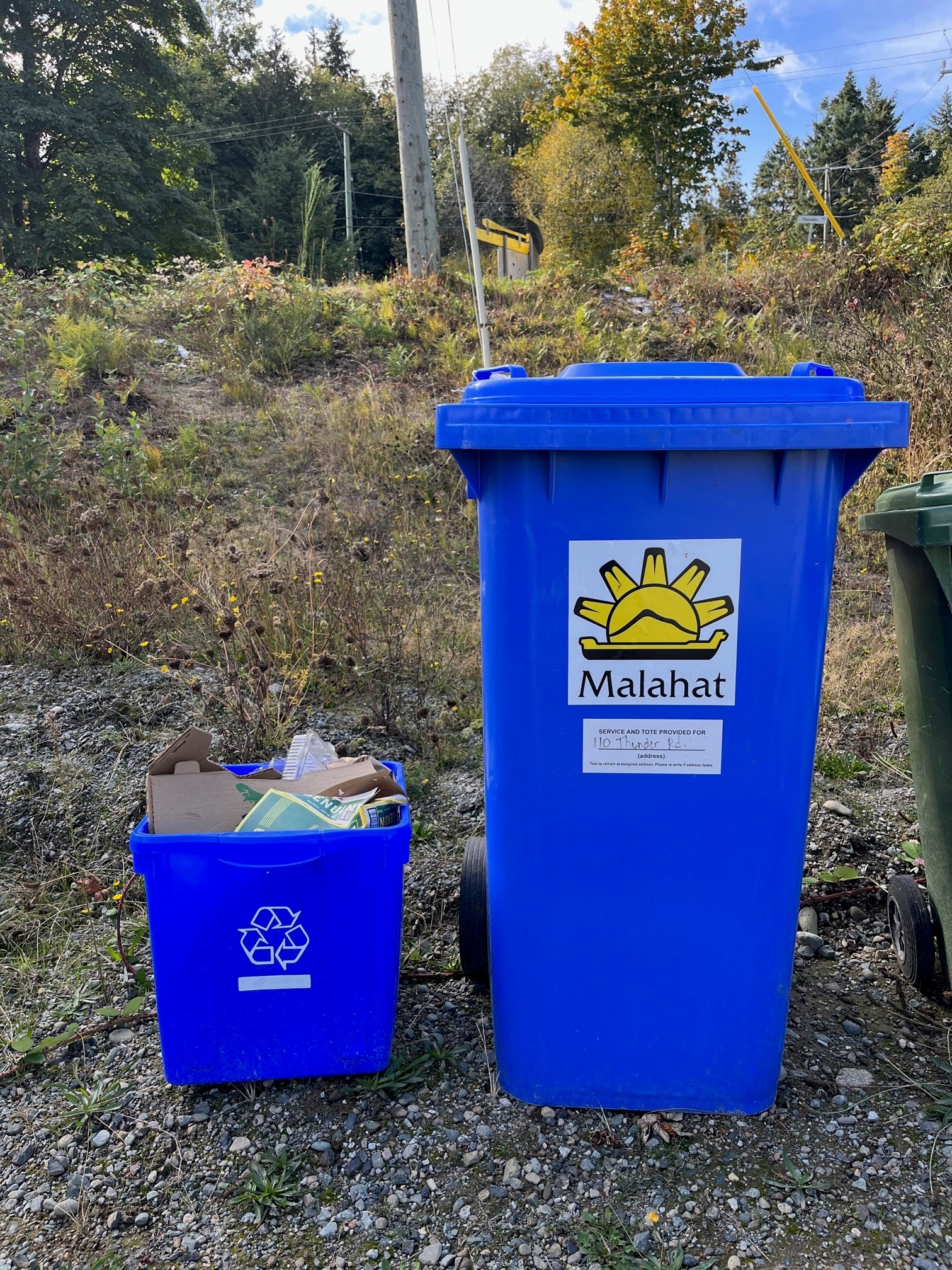 Compost bin next to greenery.